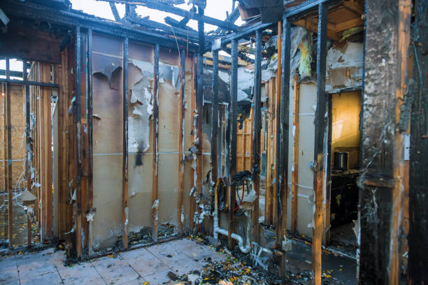 Professional Fire Damage Assessment technician working in Mokuleia, HI